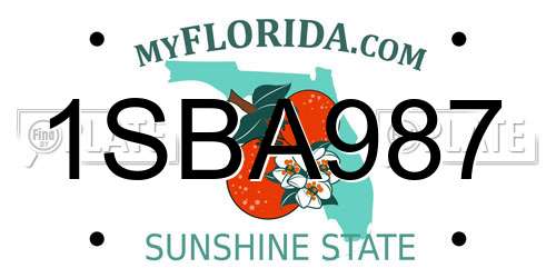 1SBA987 Florida License Plate