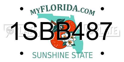 1SBB487 Florida License Plate
