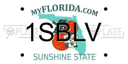 1SBLV Florida License Plate