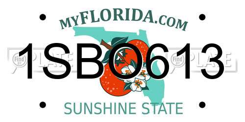 1SBO613 Florida License Plate