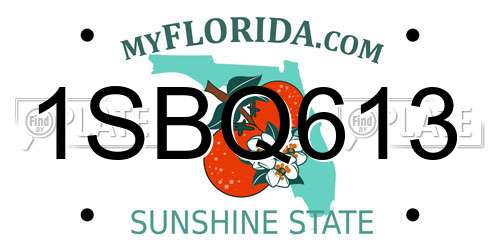 1SBQ613 Florida License Plate