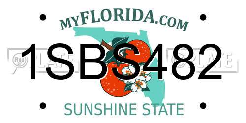 1SBS482 Florida License Plate
