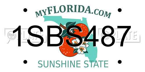 1SBS487 Florida License Plate