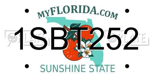 1SBT252 Florida License Plate