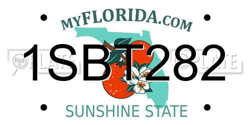 1SBT282 Florida License Plate