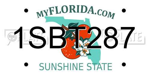 1SBT287 Florida License Plate