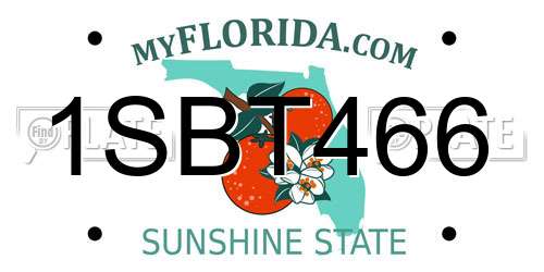 1SBT466 Florida License Plate