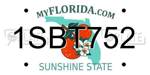 1SBT752 Florida License Plate