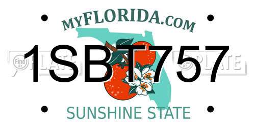 1SBT757 Florida License Plate