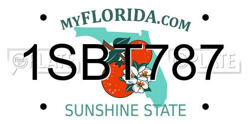 1SBT787 Florida License Plate