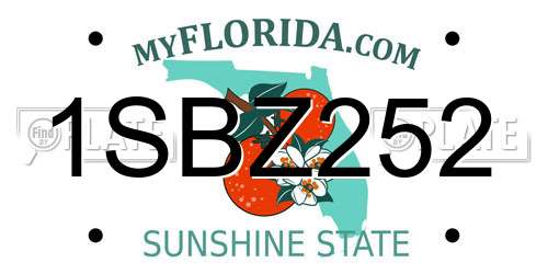 1SBZ252 Florida License Plate