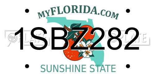 1SBZ282 Florida License Plate