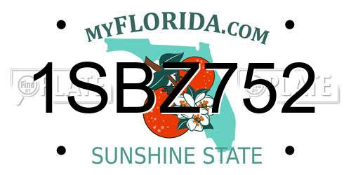 1SBZ752 Florida License Plate