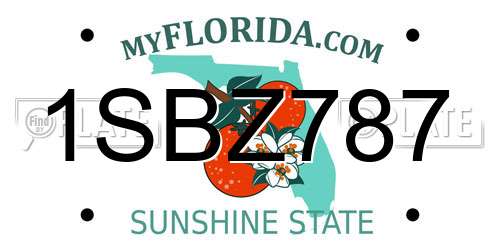 1SBZ787 Florida License Plate