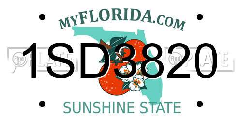 1SD3820 Florida License Plate