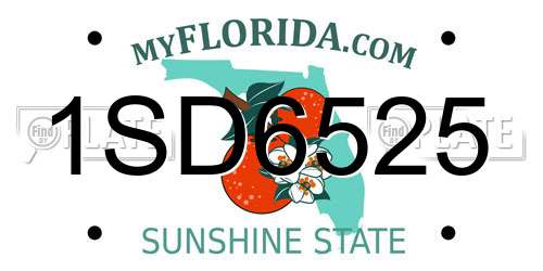 1SD6525 Florida License Plate