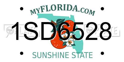 1SD6528 Florida License Plate