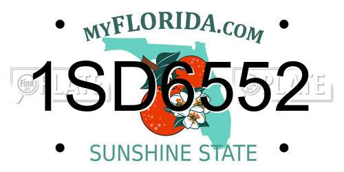 1SD6552 Florida License Plate