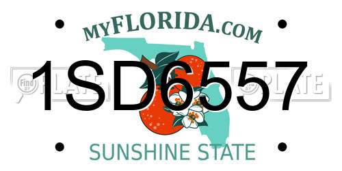 1SD6557 Florida License Plate