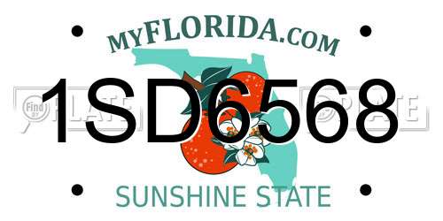 1SD6568 Florida License Plate