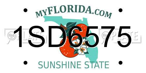 1SD6575 Florida License Plate
