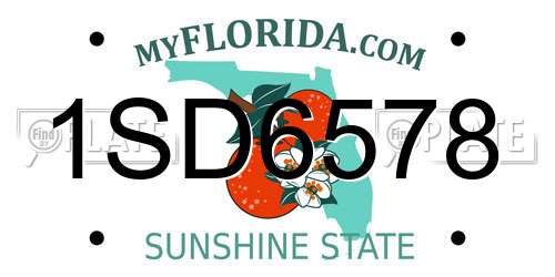 1SD6578 Florida License Plate