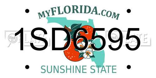 1SD6595 Florida License Plate