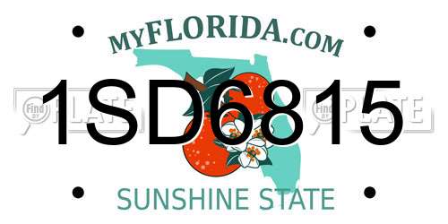 1SD6815 Florida License Plate