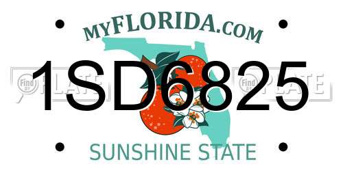1SD6825 Florida License Plate