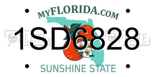 1SD6828 Florida License Plate