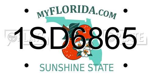 1SD6865 Florida License Plate