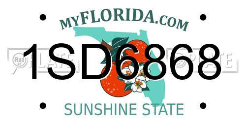 1SD6868 Florida License Plate