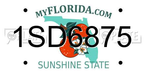 1SD6875 Florida License Plate