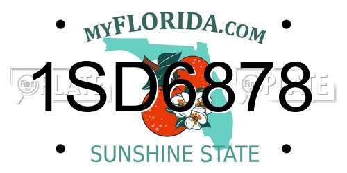 1SD6878 Florida License Plate