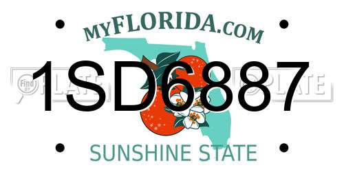 1SD6887 Florida License Plate