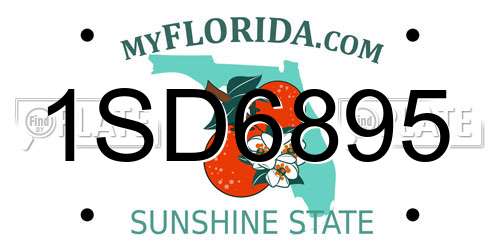 1SD6895 Florida License Plate