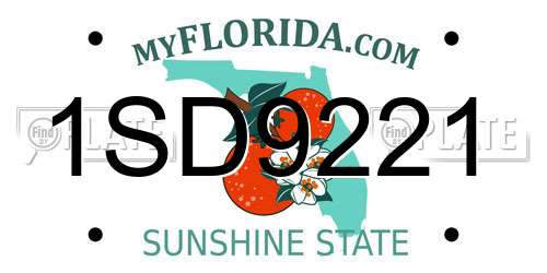 1SD9221 Florida License Plate
