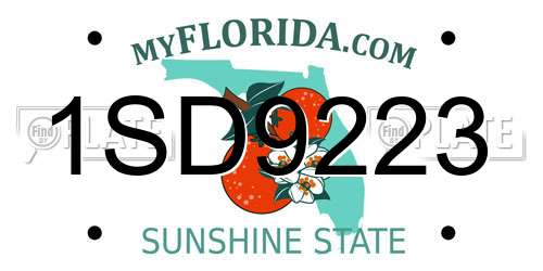 1SD9223 Florida License Plate