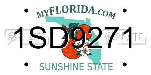 1SD9271 Florida License Plate