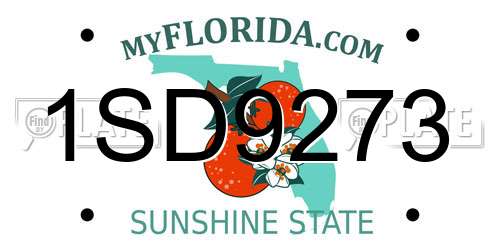 1SD9273 Florida License Plate