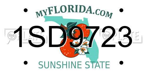 1SD9723 Florida License Plate
