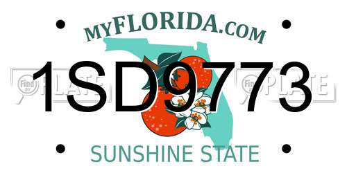 1SD9773 Florida License Plate