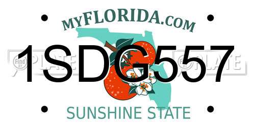 1SDG557 Florida License Plate