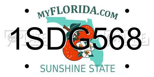 1SDG568 Florida License Plate