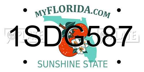 1SDG587 Florida License Plate