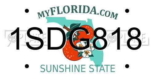 1SDG818 Florida License Plate