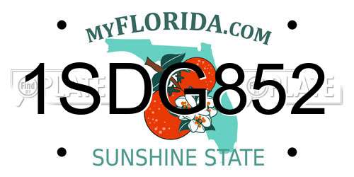 1SDG852 Florida License Plate
