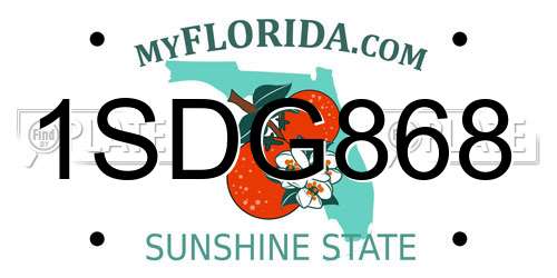 1SDG868 Florida License Plate