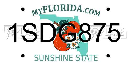 1SDG875 Florida License Plate