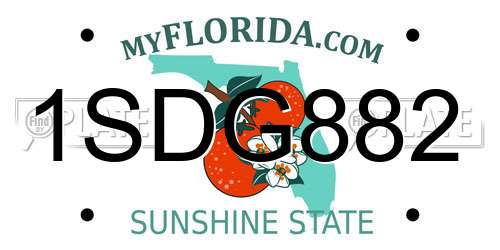 1SDG882 Florida License Plate